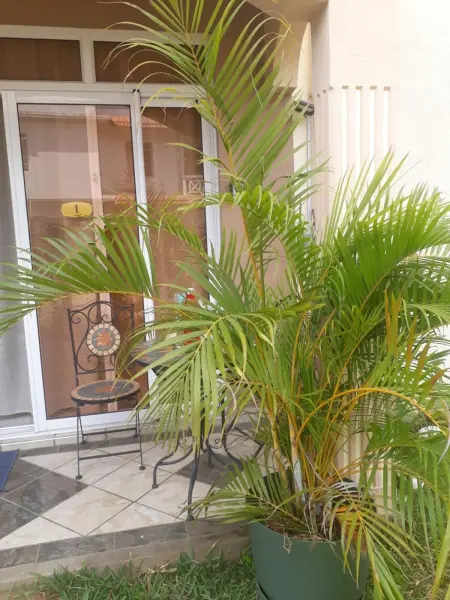 Appartement raffiné à Flic en Flac + piscine, Appartement 4 personnes à Flic en Flac - Photo 26