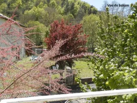 Maison de charme à Ferrières-Saint-Mary avec vue montagne - Photo 17