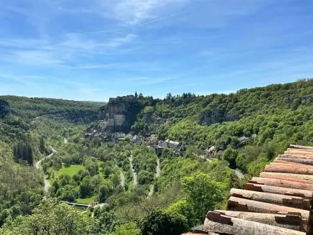 Maison de charme à Ferrières-Saint-Mary avec vue montagne - Photo 32