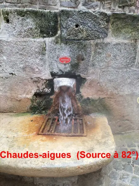 Maison de charme à Ferrières-Saint-Mary avec vue montagne - Photo 33