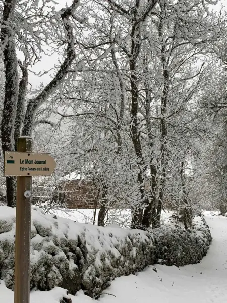 Maison de charme à Ferrières-Saint-Mary avec vue montagne - Photo 34