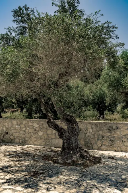 Villa charmante à Agrilia avec piscine privée, Villa 4 personnes à Agrilia - Photo 8