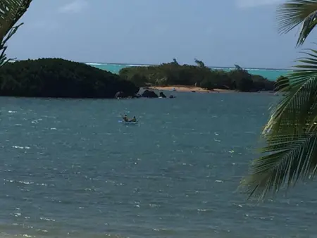 Appartement spacieux avec vue sur la mer à Roches Noires - Photo 30
