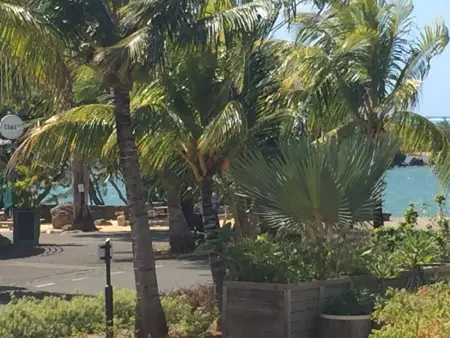 Appartement spacieux avec vue sur la mer à Roches Noires - Photo 31