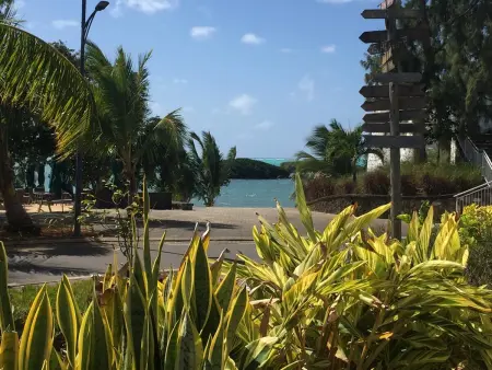 Appartement spacieux avec vue sur la mer à Roches Noires - Photo 32