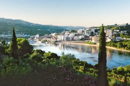 Villa de charme à Lamego avec piscine privée, Villa 6 personnes à Lamego - Photo 30