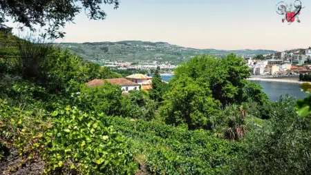 Villa de charme à Lamego avec piscine privée, Villa 6 personnes à Lamego - Photo 40