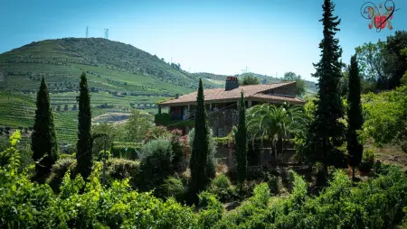 Villa de charme à Lamego avec piscine privée, Villa 6 personnes à Lamego - Photo 41