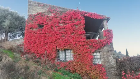 Villa de charme à Lamego avec piscine privée, Villa 6 personnes à Lamego - Photo 46