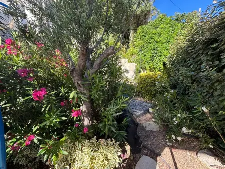 Maison chaleureuse au cœur des Calanques de Marseille + jardin. - Photo 31