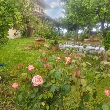 Appartement charmant à San Mauro Pascoli 75 m² avec jardin climatisé - Photo 11