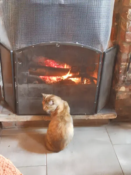 Appartement cosy à Estinnes de 40 m² avec jardin clôturé. - Photo 12
