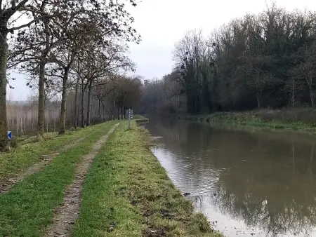 Maison charmante à Crouy-sur-Ourcq avec jardin privé. - Photo 6