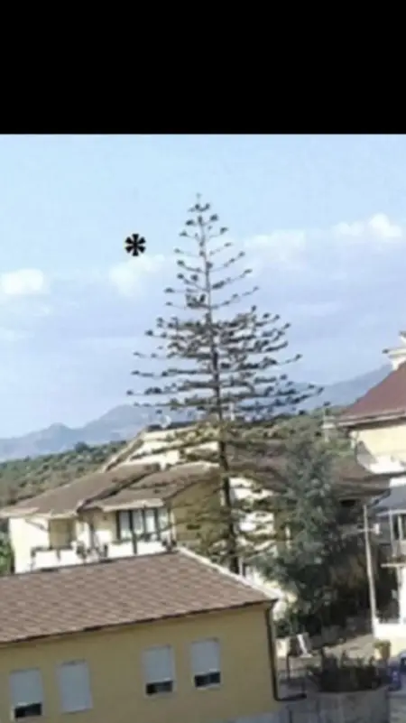 Charmante maison avec vue sur mer et montagne à Ribera - Photo 14