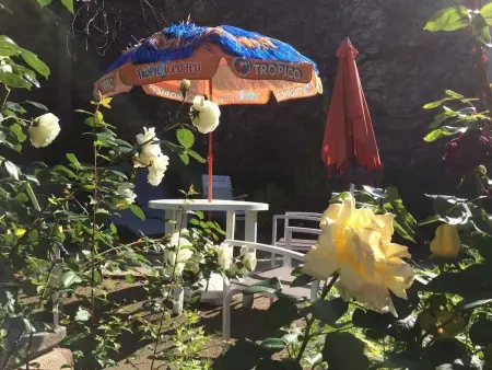 Charmant studio à Néris-les-Bains 20 m² avec jardin privé - Photo 1