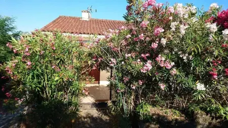 Villa chaleureuse en sud Ardèche avec piscine privée 200 m² - Photo 2