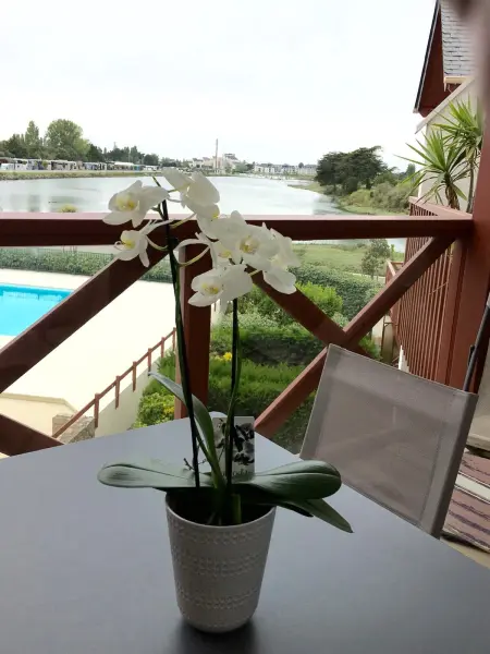 Appartement cosy avec piscine partagée - Guérande - 30 m² - Photo 16