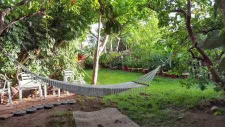 Appartement avec vue sur la mer à San Cristóbal de La Laguna - 70 m² - Photo 16
