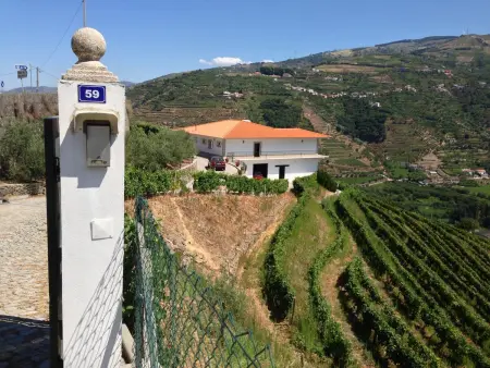 Villa confortable à Mesão Frio avec piscine privée 120 m² - Photo 30