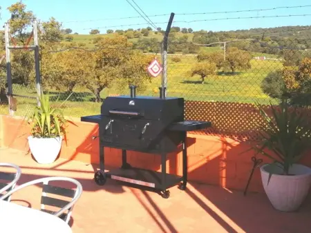 Villa spacieuse à Guillena avec jardin et piscine privée - Photo 47