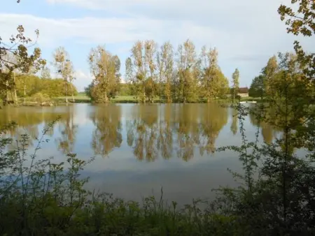 Villa spacieuse et conviviale à Courtenay avec jardin clôturé - Photo 30