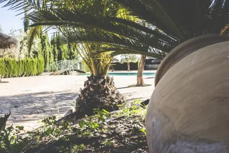 Maison charmante à Estepa avec piscine partagée. - Photo 12