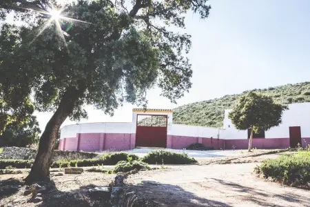 Maison charmante à Estepa avec piscine partagée. - Photo 20