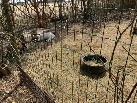 Maison de charme avec cheminée et jardin à Saint-Jean-de-Sauves - Photo 30