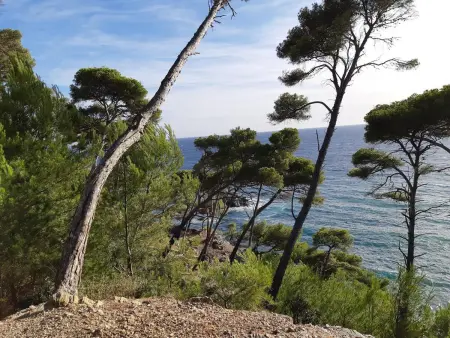 Appartement avec piscine à Six-Fours-les-Plages 32 m² vue mer - Photo 36