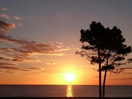 Appartement lumineux à Saint-Cyprien 45 m² vue mer - Photo 13