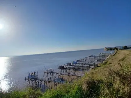 Bungalow charmant à Meschers-sur-Gironde avec piscine partagée - Photo 12