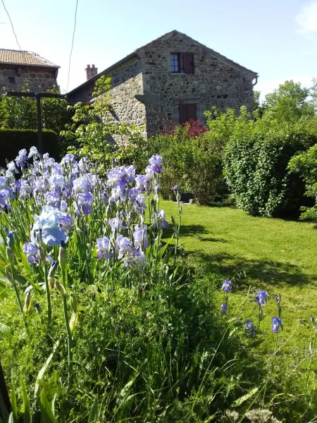 Maison de charme avec jardin à Cubelles, idéale en famille - Photo 6