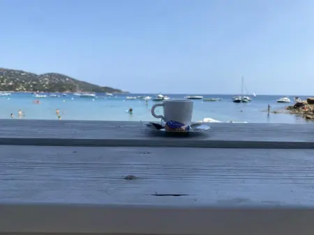 Appartement charmant Roquebrune 35m² piscine partagée - Photo 43