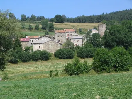 Maison charmante Le Malzieu, jardin, Maison 6 personnes à Le Malzieu Forain - Photo 11