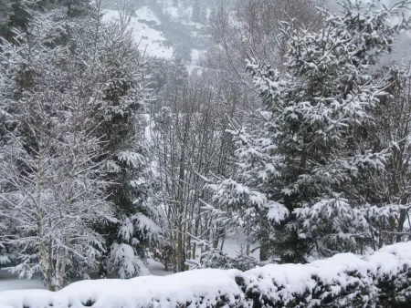 Maison charmante Le Malzieu, jardin, Maison 6 personnes à Le Malzieu Forain - Photo 28