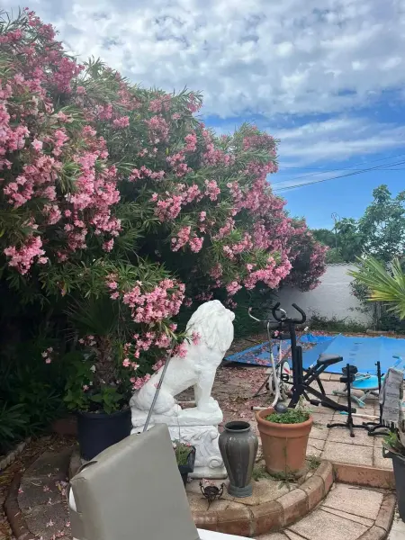 Maison charmante à Marseillan avec grand jardin et terrasse - Photo 16
