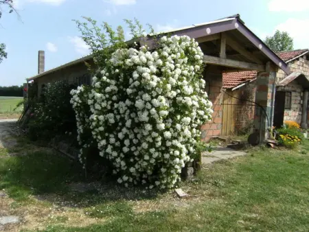 Maison familiale avec piscine partagée à Moissac, jardin - Photo 6