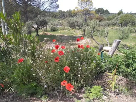Villa élégante à Mouriès avec vue sur la montagne et piscine privée - Photo 30