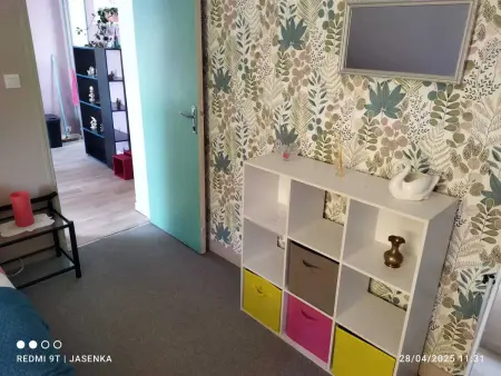 Studio chaleureux à Saint-Barthélemy-d'Anjou de 27 m² + jardin - Photo 18