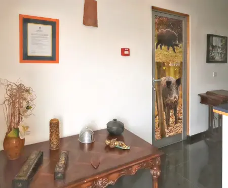 Maison luxueuse Corte de Pao avec piscine privée - Photo 17