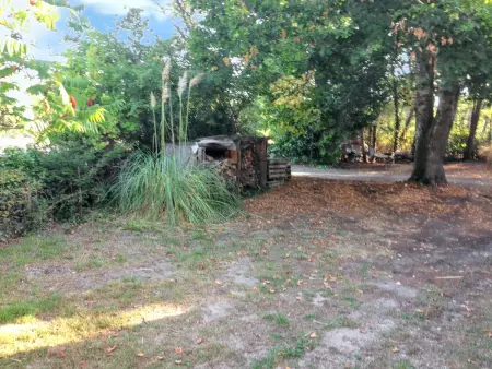 Charmant chalet à Sanguinet avec jardin et terrasse - Photo 10