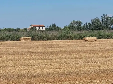 Villa provençale à Arles avec piscine privée et vue jardin. - Photo 12