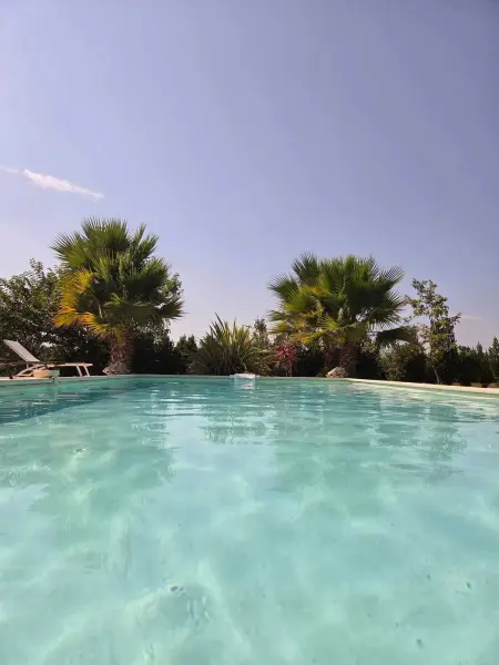 Villa provençale à Arles avec piscine privée et vue jardin. - Photo 20