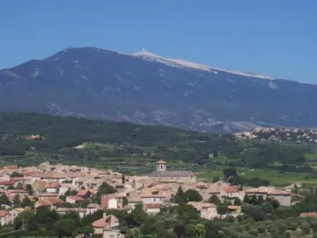 Charmante maison avec piscine à Saint-Hippolyte-le-Graveyron 46 m² ! - Photo 10