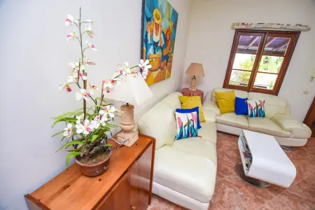 Maison authentique à Funchal + Vue sur la ville - Photo 3