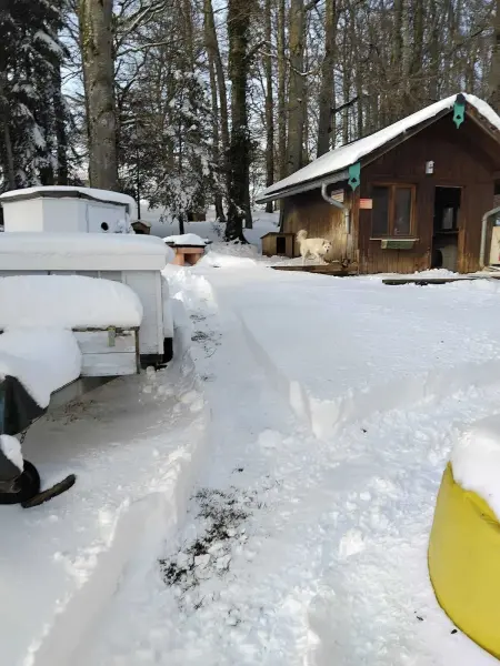 Chalet spacieux avec jardin à La Longeville, Chalet 7 personnes à La Longeville - Photo 11