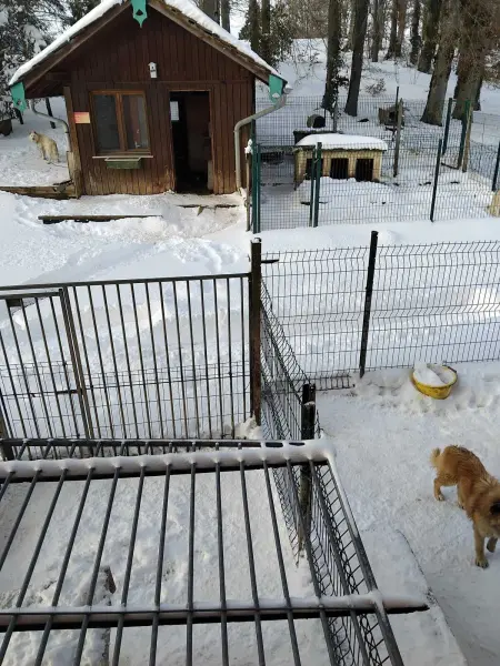 Chalet spacieux avec jardin à La Longeville, Chalet 7 personnes à La Longeville - Photo 12