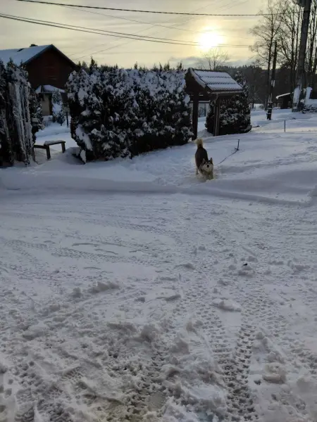 Chalet spacieux avec jardin à La Longeville, Chalet 7 personnes à La Longeville - Photo 14