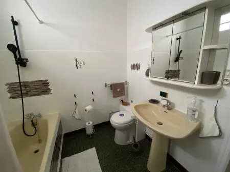 Maison confortable avec piscine près de La Ville-Dieu - Photo 19