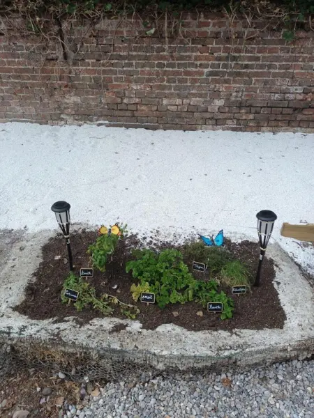 Maison charmante à Cayeux-sur-Mer avec jardin privatif - Photo 10